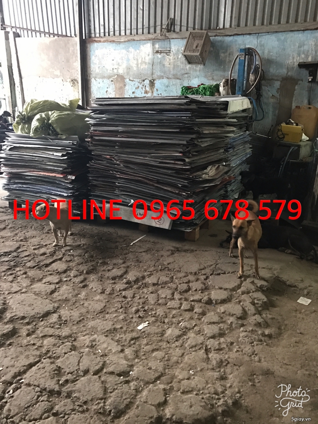 Thu mua Hàng phế liệu - 1