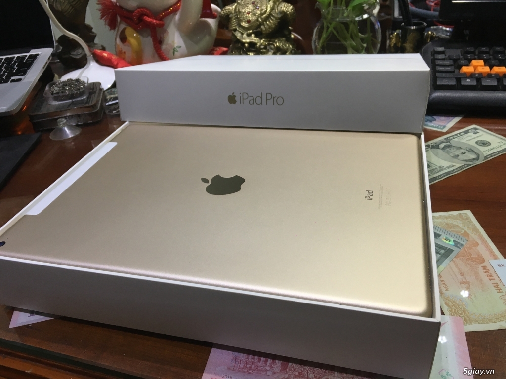 Bán 1 iPad Pro 12.9 128G 4G Gold(Vàng) Zin All Đẹp Như Mới Full Box - 2
