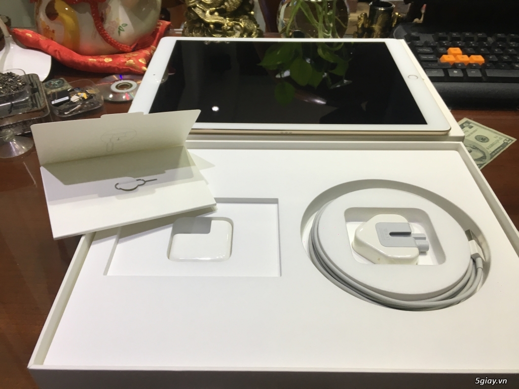 Bán 1 iPad Pro 12.9 128G 4G Gold(Vàng) Zin All Đẹp Như Mới Full Box - 3