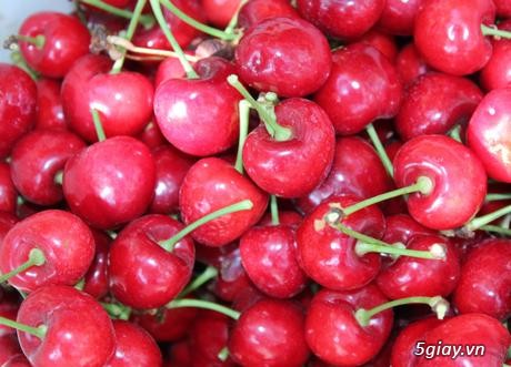 Cung cấp sỉ & lẻ Cherry đỏ nhập khẩu từ Canada - 1