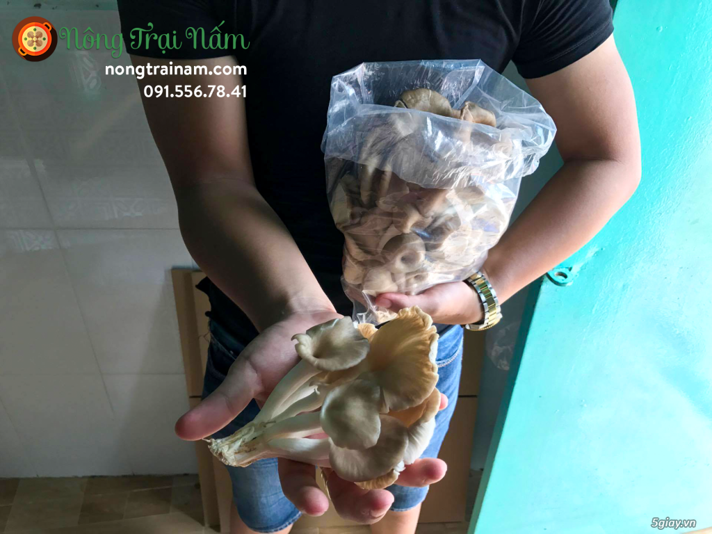 Nông Trại Nấm - Nơi khởi nguồn nấm sạch - 3