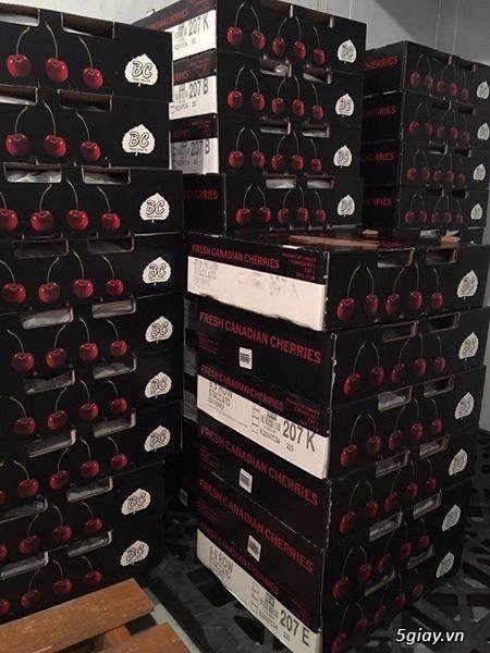 Cherry Canada - 2