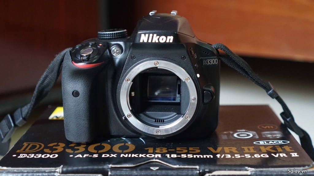 Nikon D3300 + Lens SIgma 18-250mm - 4