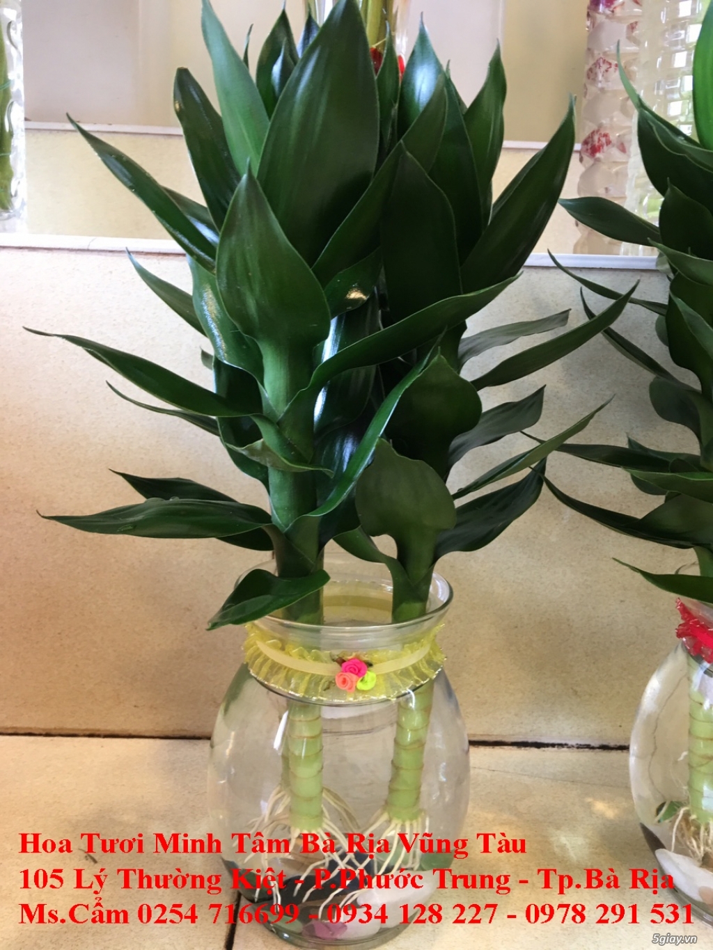 Hoa Tươi Minh Tam - Chuyên cung cấp hoa tươi đẹp nhất
