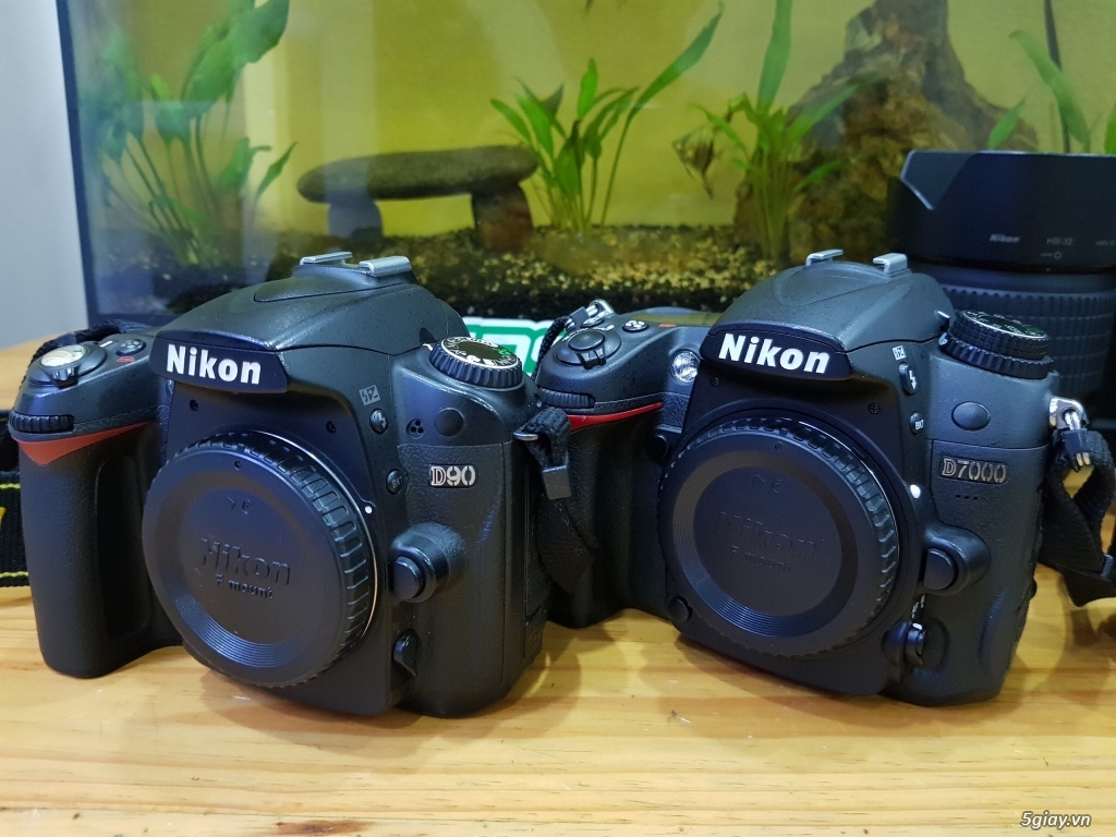 Nikon D7000 || Lens Nikon: AF-S 18-105 VR / 40F2.8 Macro / AF 50F1.8D - 8