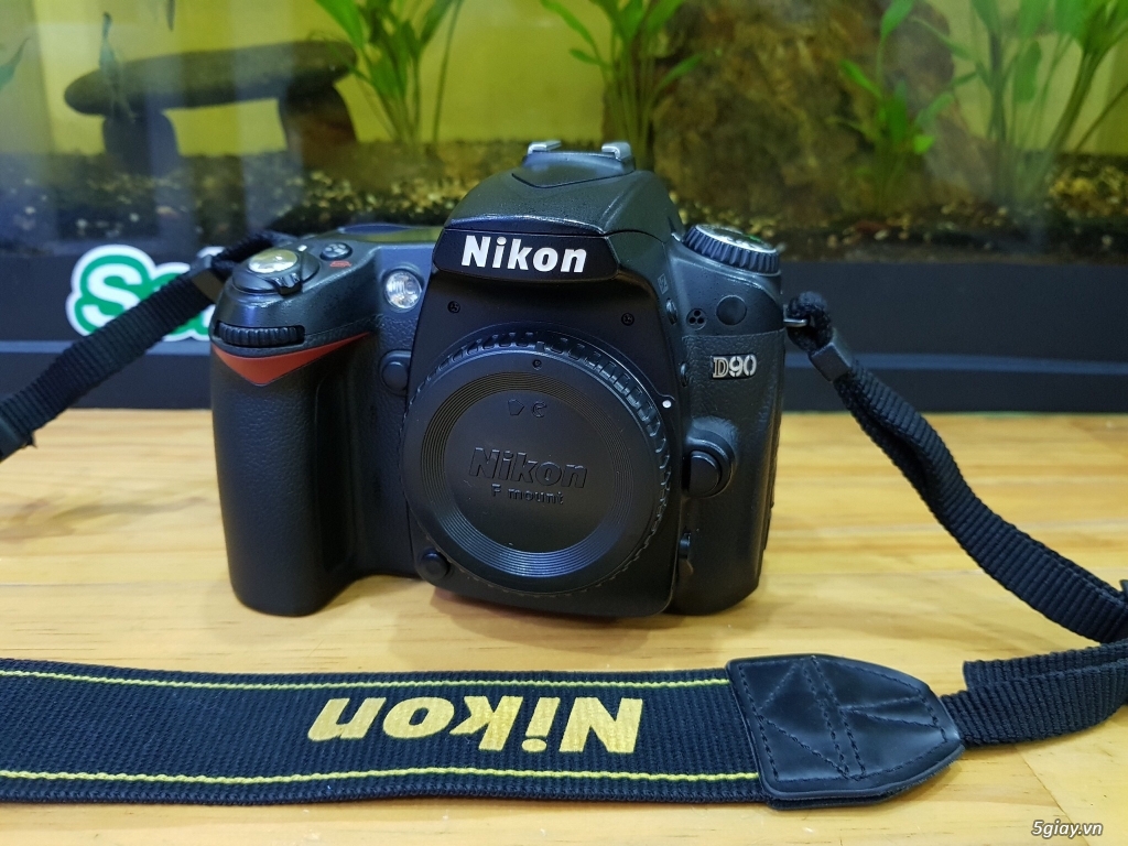 Nikon D7000 || Lens Nikon: AF-S 18-105 VR / 40F2.8 Macro / AF 50F1.8D - 10