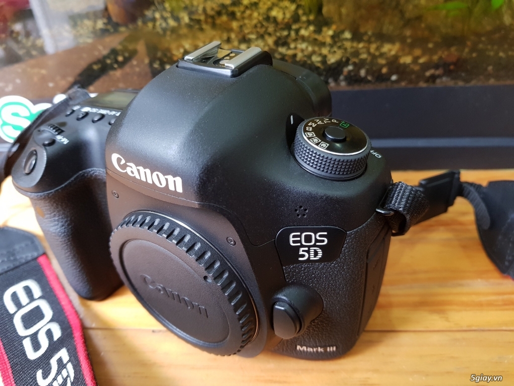 Canon 5D3/70D/7D/6D ||Sigma 35 art / Tamron 24-70 ||  85F1.8/50F1.4/10