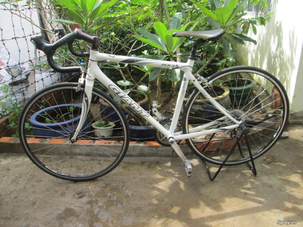cần thơ bán xe ROAD GIANT - 0CR3 - 1