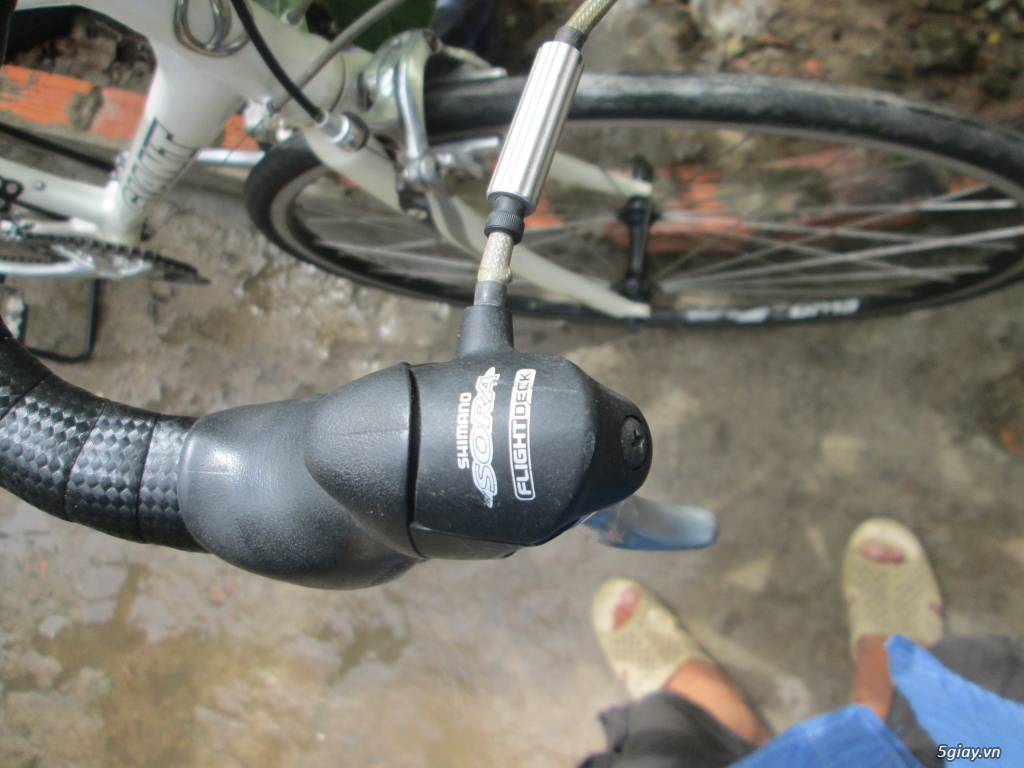cần thơ bán xe ROAD GIANT - 0CR3 - 2