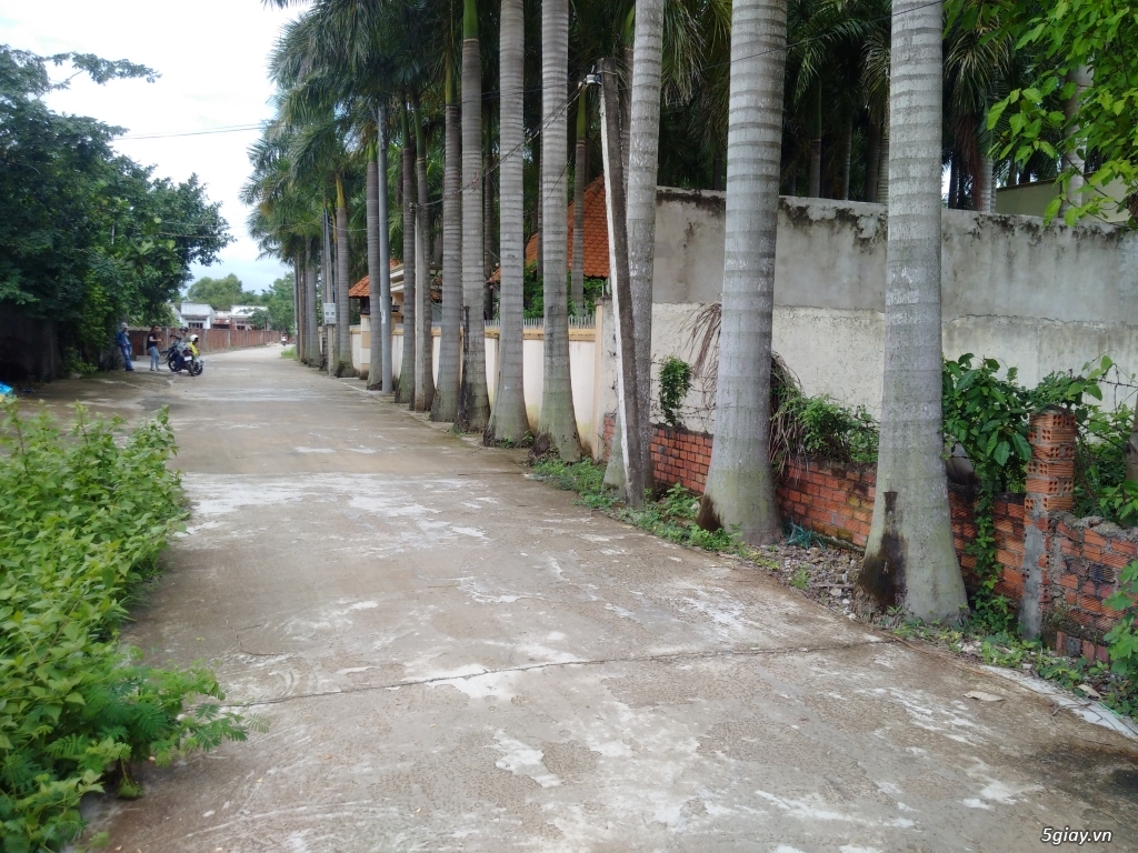 Ba Rịa - Cho thuê 280 m2 đất giá 5tr/tháng