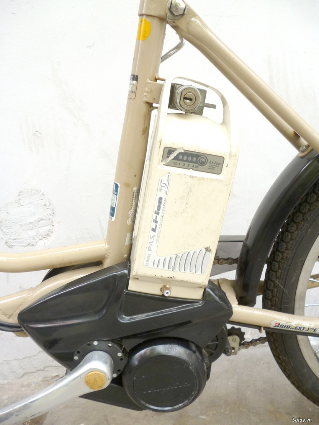 Xe đạp điện và trợ lực hàng bãi Nhật Bản - 3