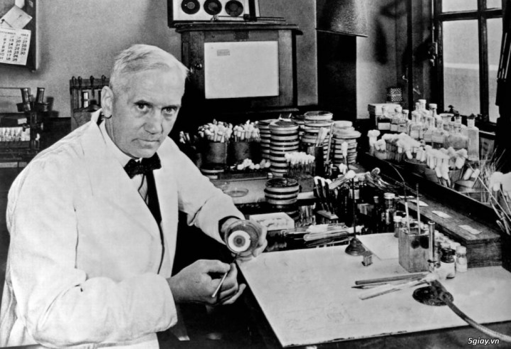 Penicillin - phát minh vô tình thay đổi thế giới. - 2