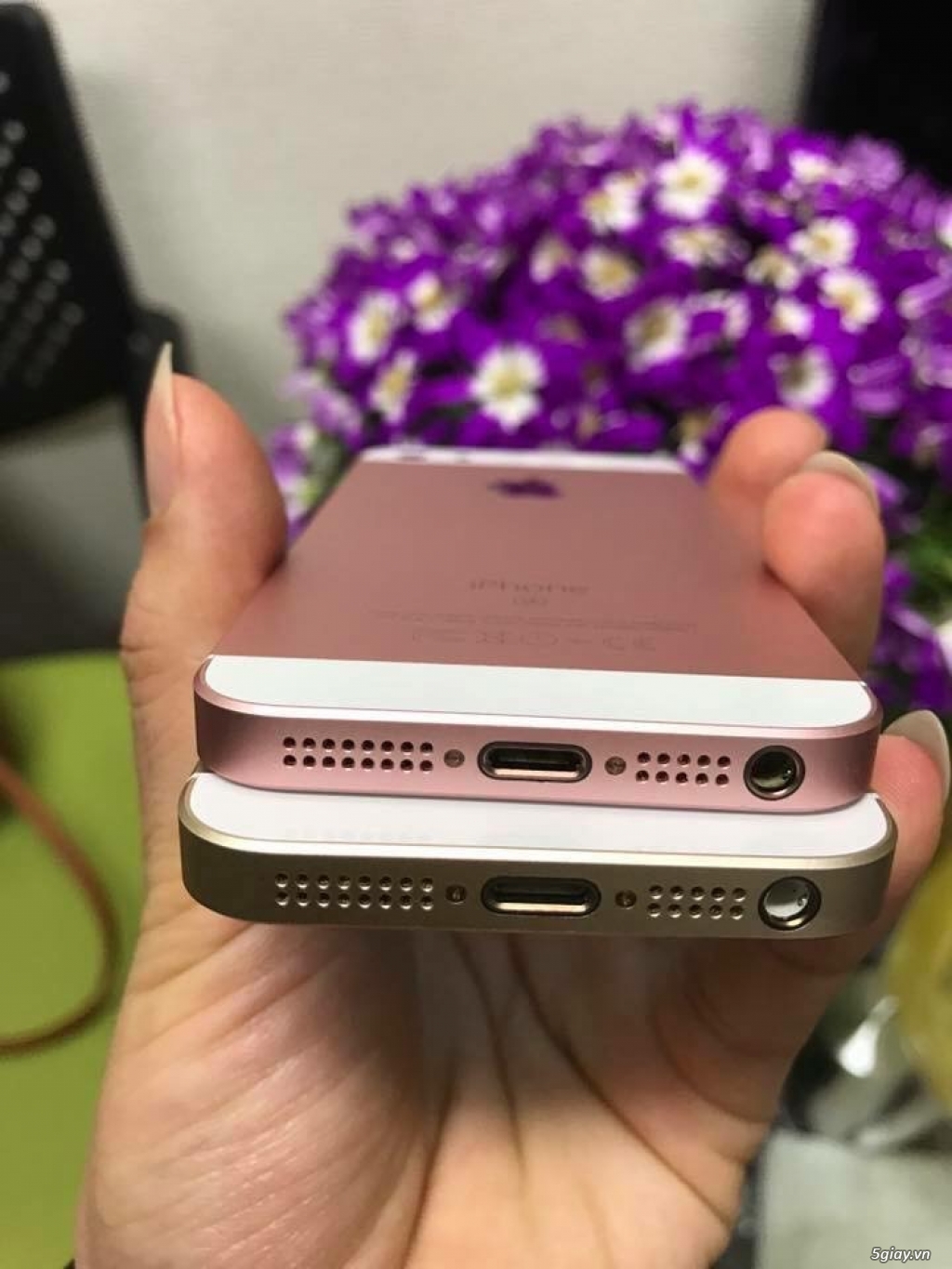Cần ra đi iphone 5se và 6s plus còn bh apple - 2
