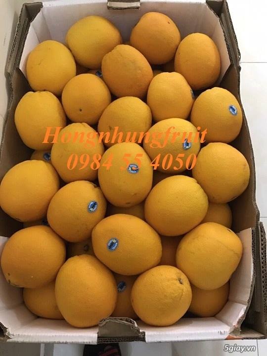 Tìm đối tác - CTV về kinh doanh trái cây nhập khẩu trên toàn quốc - 3