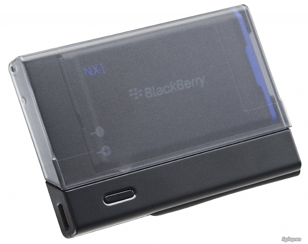 Dock Blackberry - 17