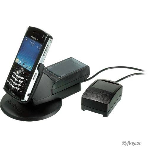 Dock Blackberry - 6