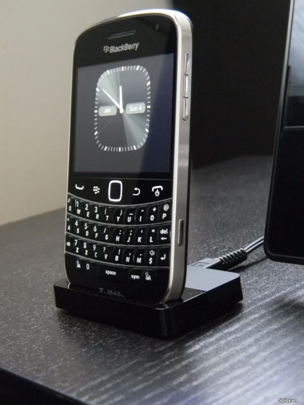 Dock Blackberry - 16