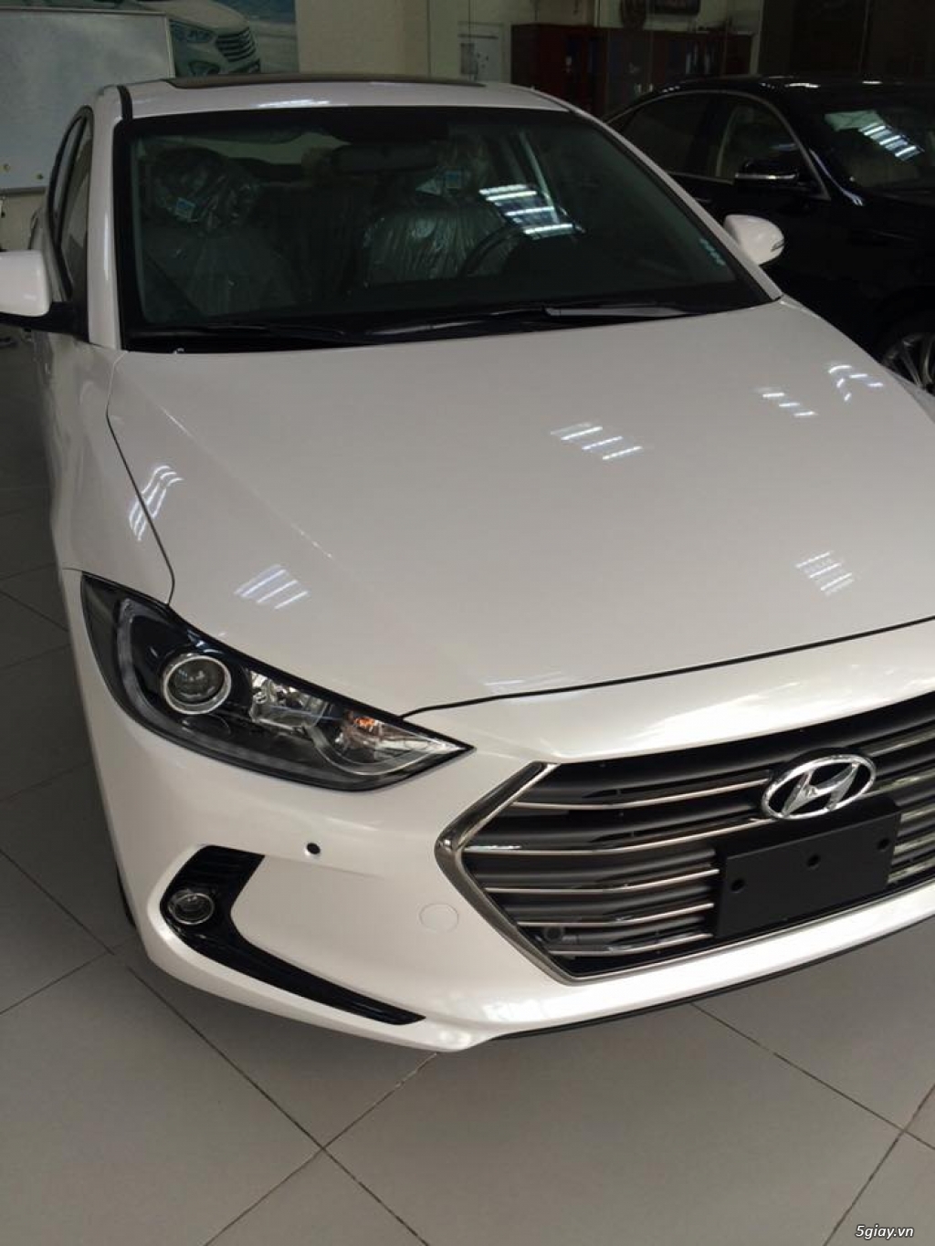 Elantra số tự động 2017