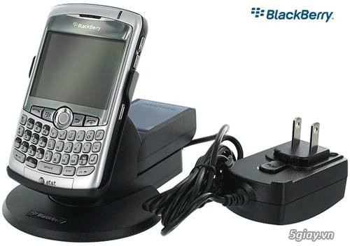 Dock Blackberry - 12