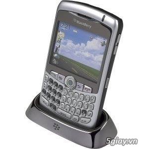 Dock Blackberry - 5