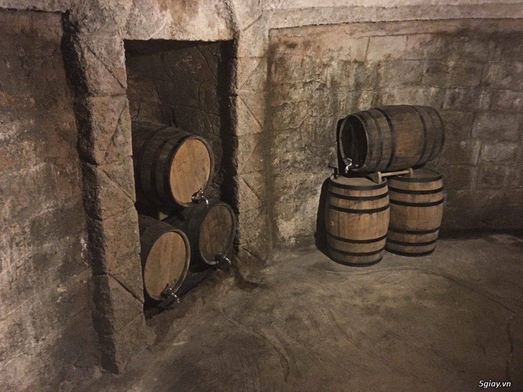 Đà Nẵng với Bà Nà Hills - 14