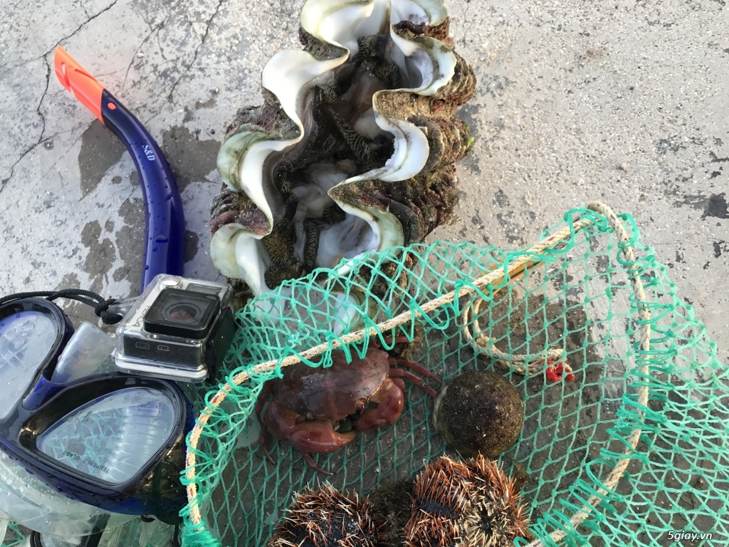 Đảo Phú Quý, nơi  có những điều mà chưa đâu có được ! - 49