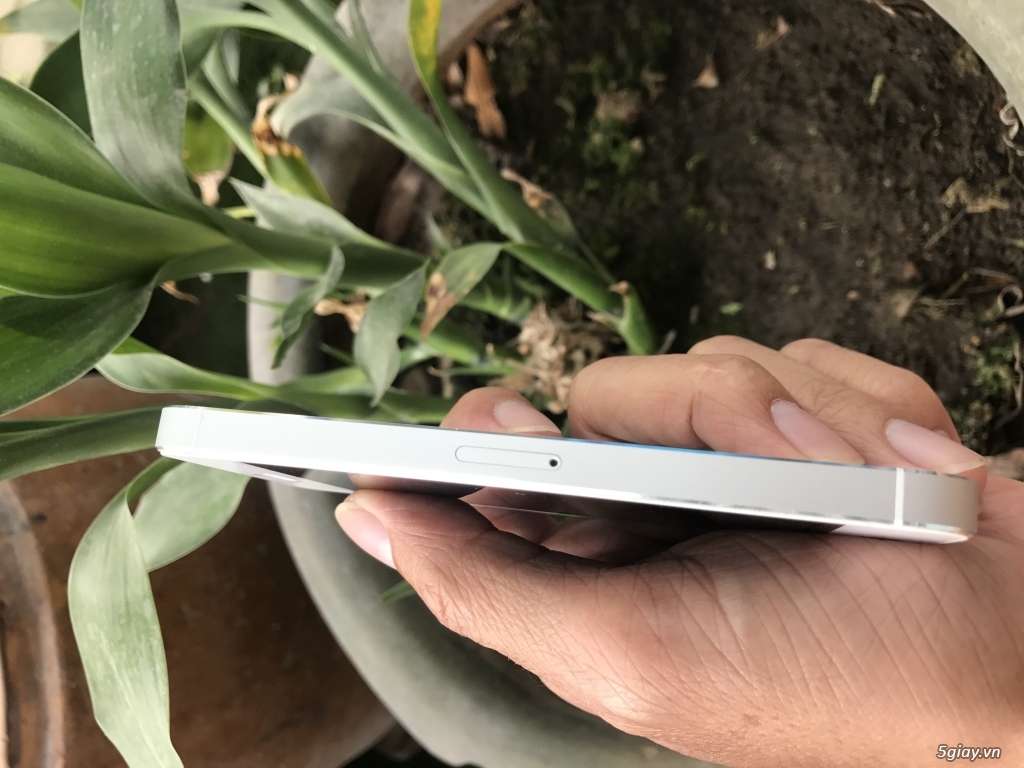 Iphone 5s 16g trắng zin - 3