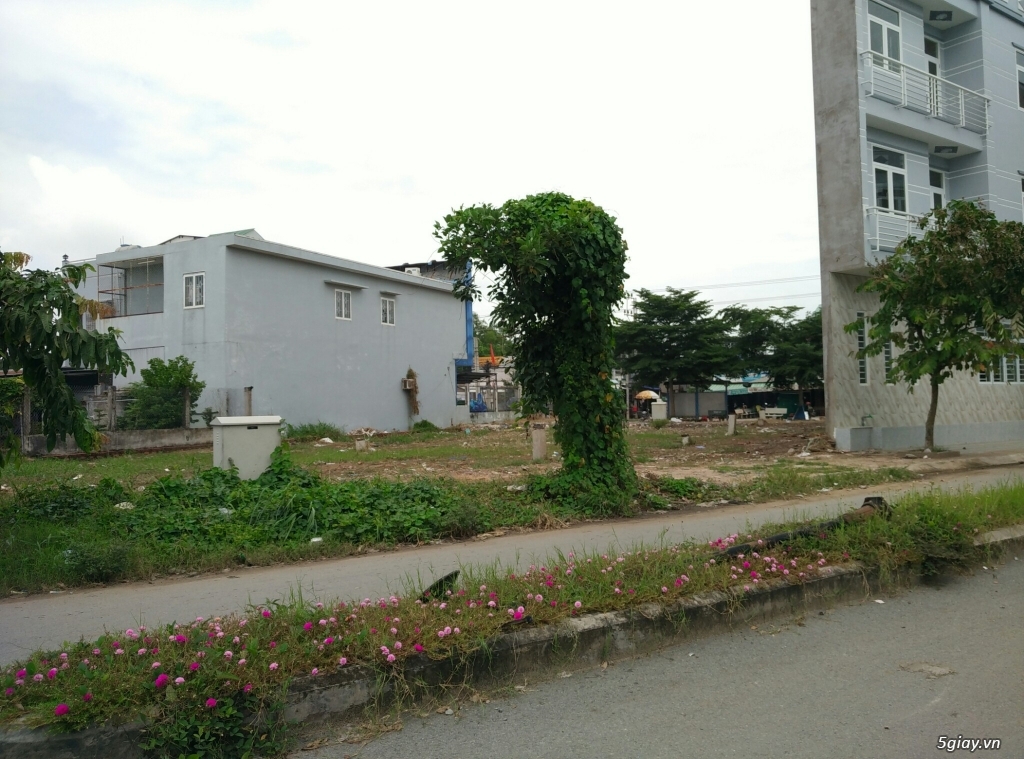Mở bán đất nền dự án Nam Phong Eco Park, Sổ hồng riêng - 1