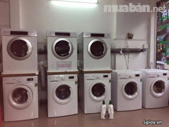 Tuyển nhân viên tại tiệm giặt sấy tự động