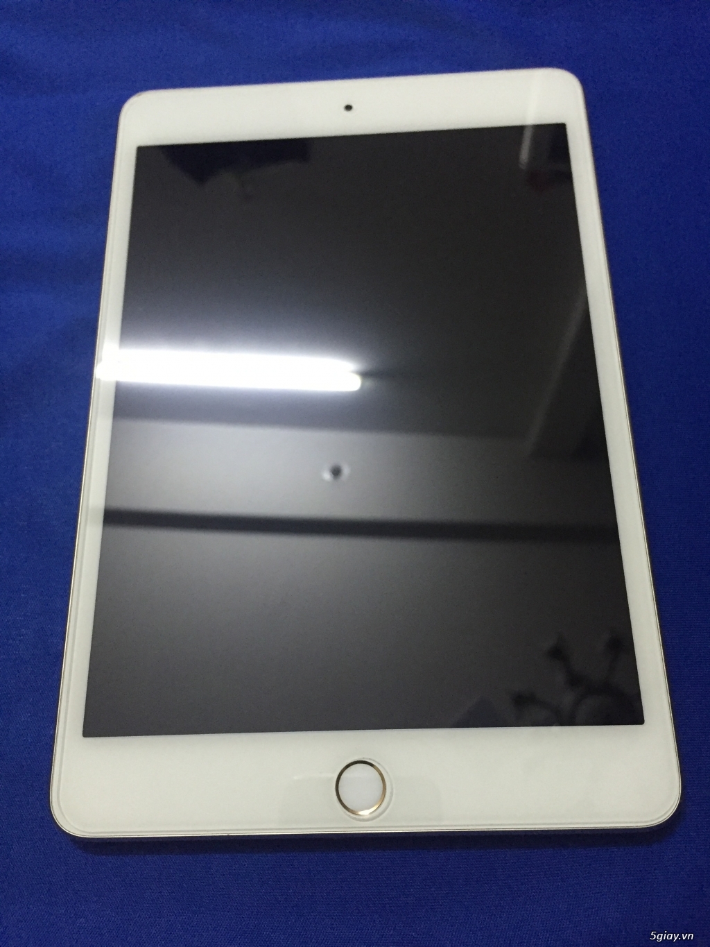 Ipad Mini 4 Gold 16G 4G + Wifi