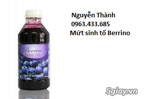 Mứt Sinh Tố Berrino Việt Nam