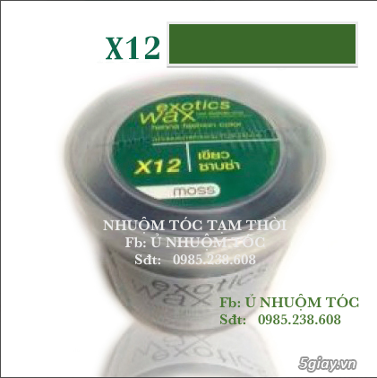 Ủ Nhuộm Tóc Tạm Thời - 22