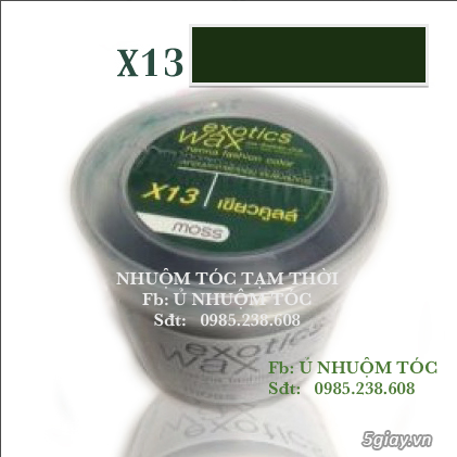 Ủ Nhuộm Tóc Tạm Thời - 24