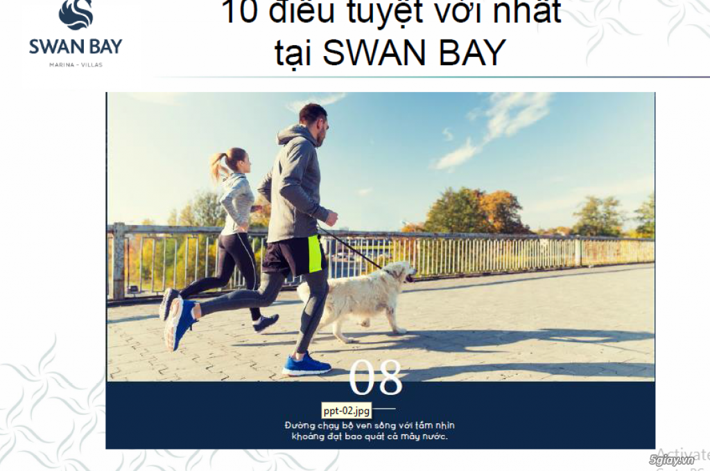 Khu đô thị swan bay - 5