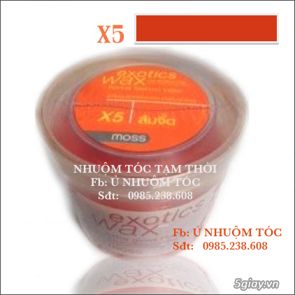 Ủ Nhuộm Tóc Tạm Thời - 9