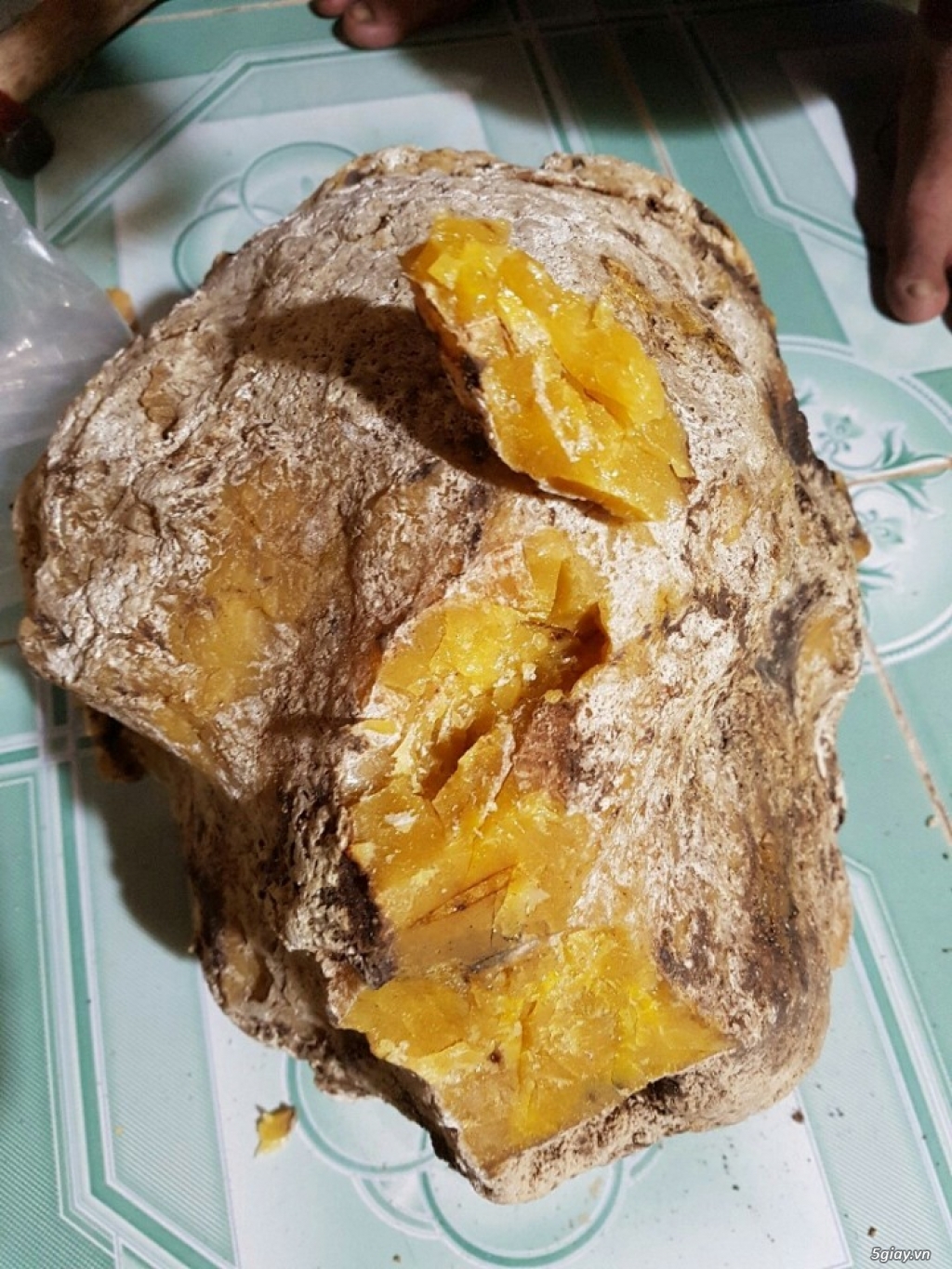 Bán 02 khối Long Diên Hương tại BR-VT