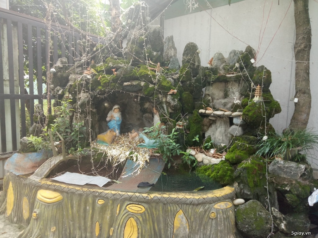 đá san hô làm hòn non bộ cực đẹp - 3