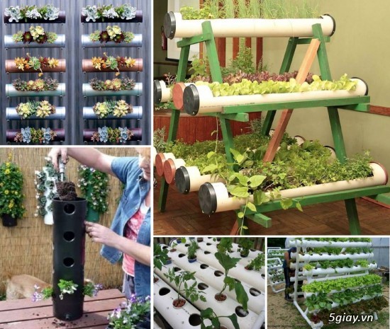 15 mẫu thiết kế trồng rau hoa trong ống nhựa mà bạn có thể làm tại nhà