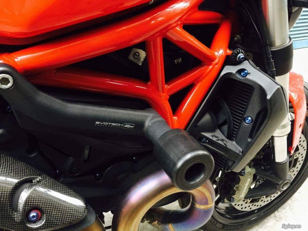 Cần ván Ducati Monster 821 ABS 2015 - 5