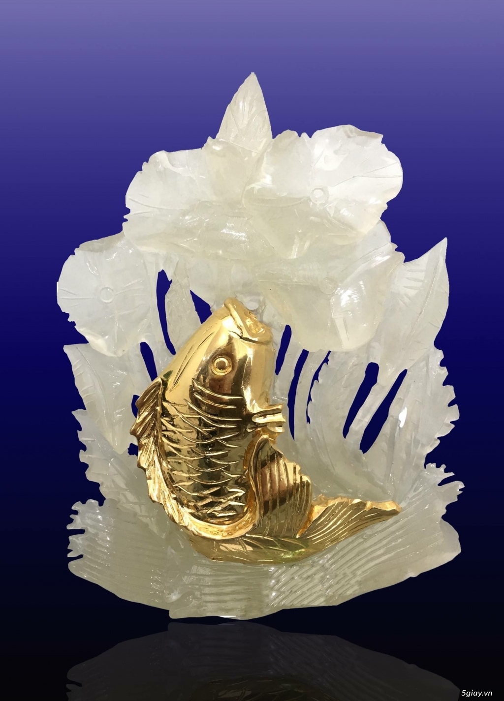 quỳ vàng thật 24k cao cấp - 10