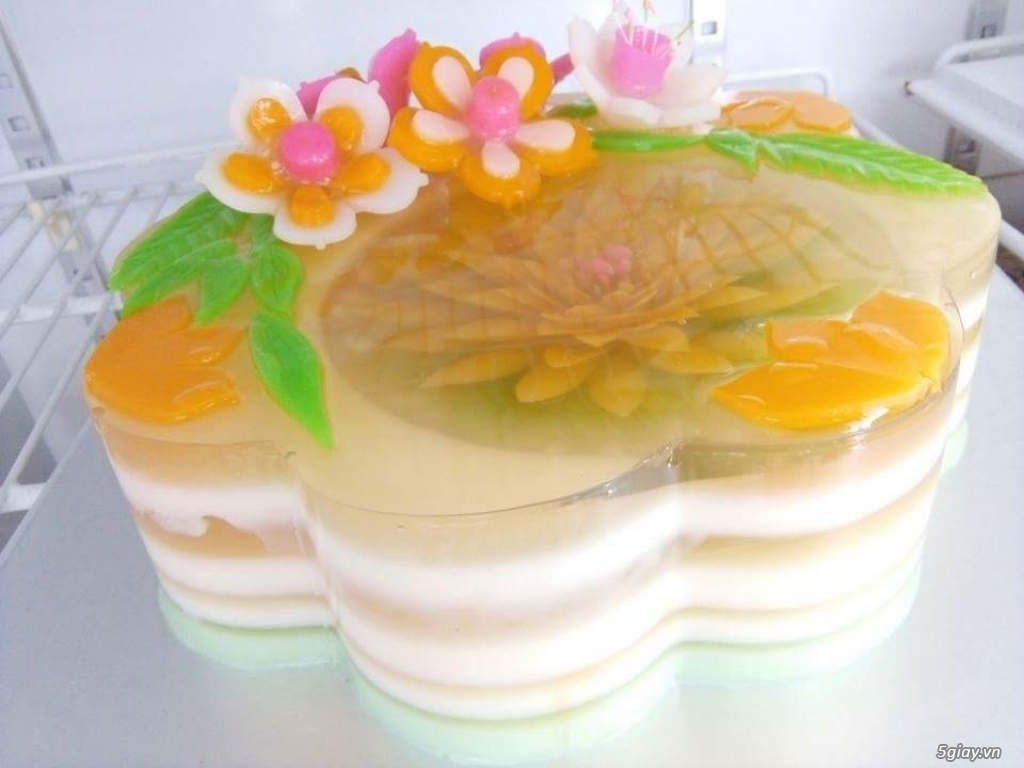 CHIÊU SINH KHÓA  TRANG TRÍ RAU CÂU NGHỆ THUẬT-3D - 1