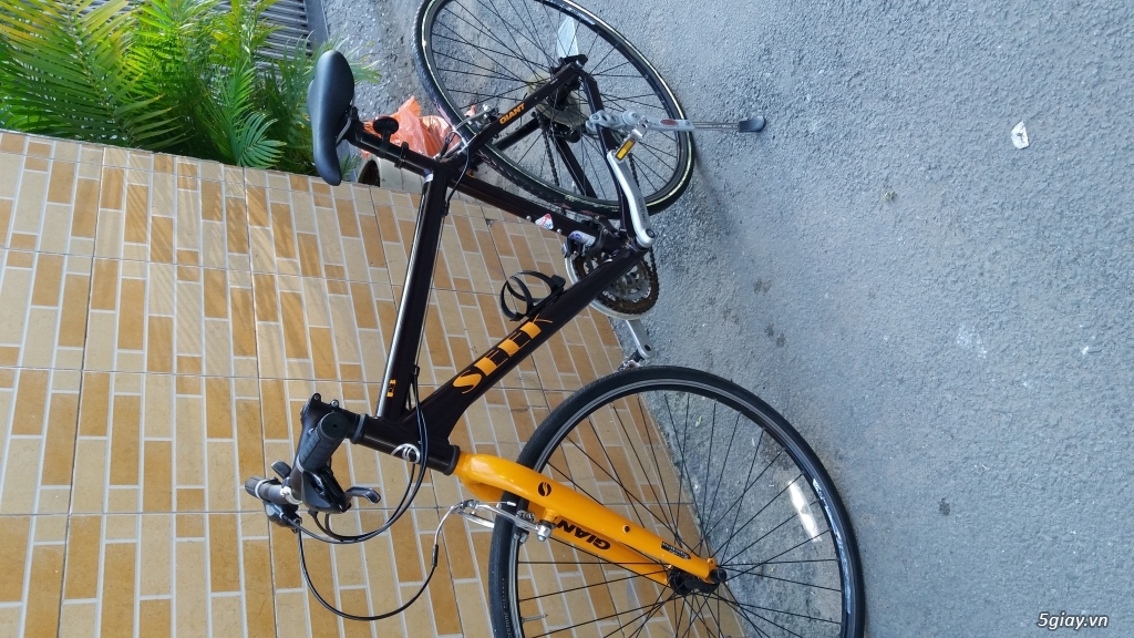 Xe đạp phong cách JAPAN - 5