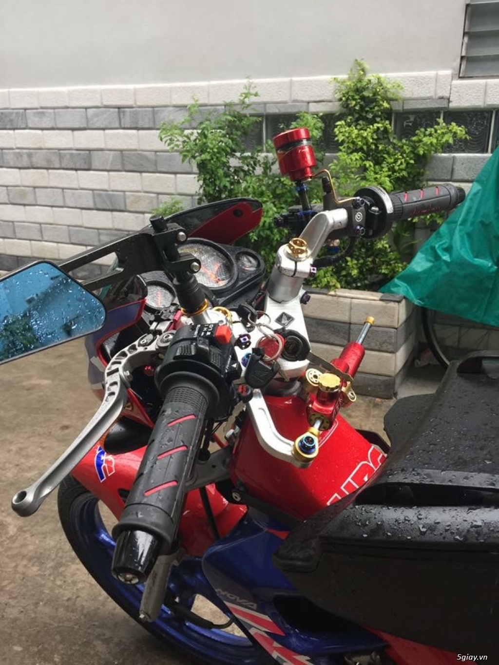 Nova Dash Hải Quan CN Vip - 1