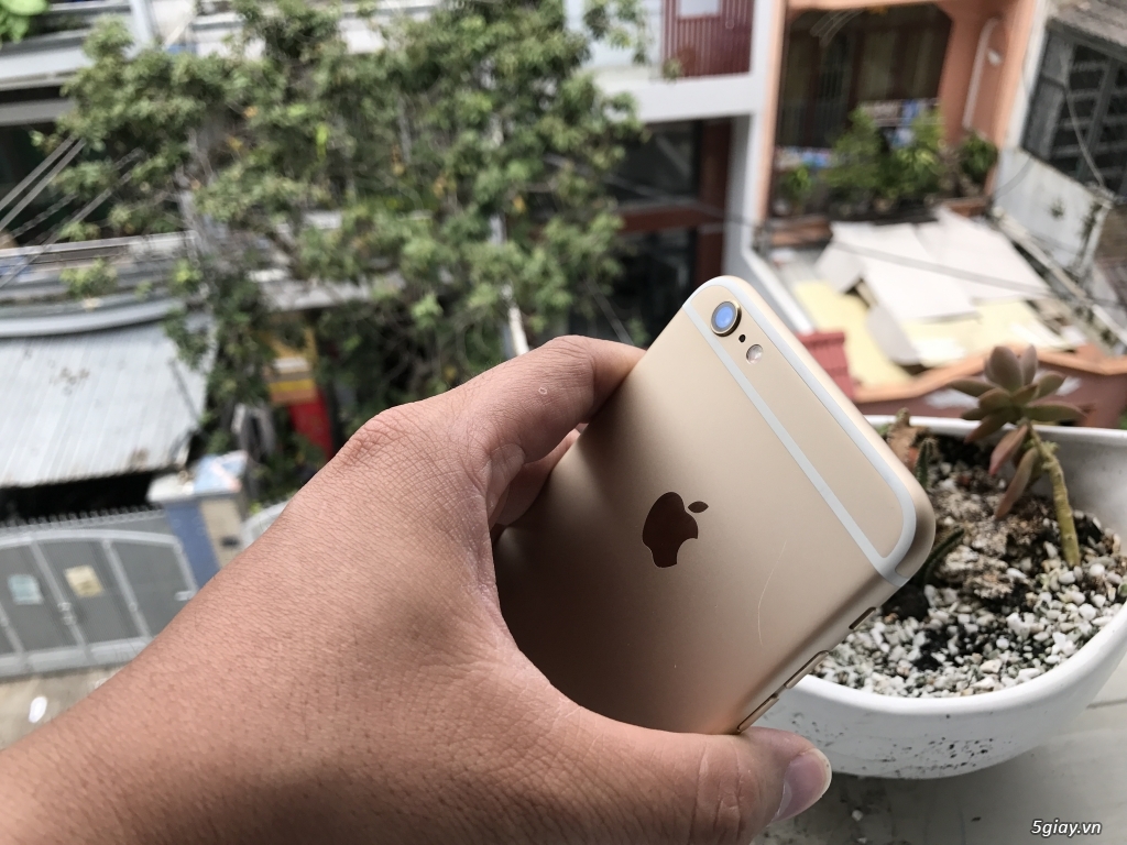 6plus gold 64g zin nguyên con đẹp xài kĩ 8tr9 - 2