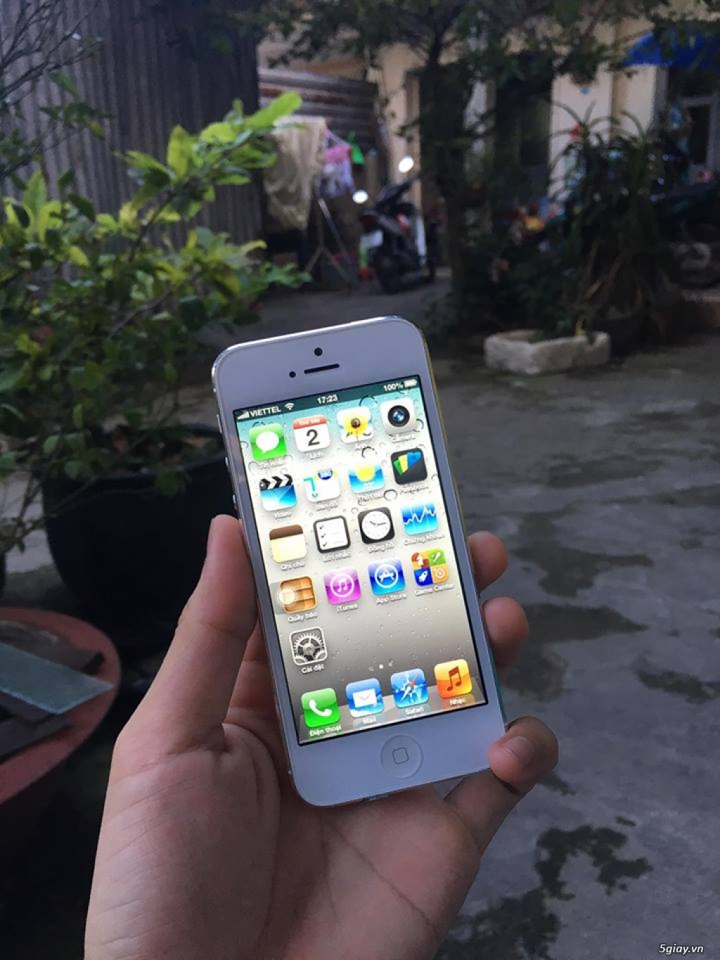 iPhone 5 32GB White IOS 6.1.4 CỰC HIẾM - 1