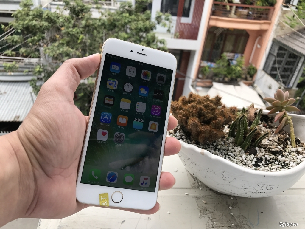 6plus gold 64g zin nguyên con đẹp xài kĩ 8tr9 - 3