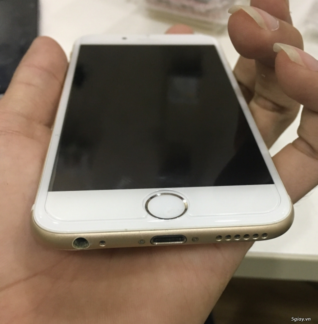 Iphone 6 Gold 16gb hàng O TGDD máy zin chưa 1 vết trầy - 2