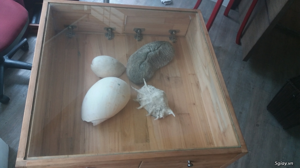 Đồ dùng gia đình
