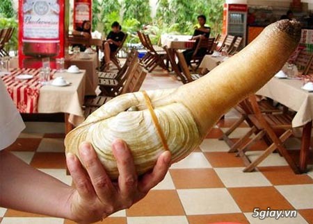 hình ảnh đẹp ,o đẹp o ăn tiền - 1