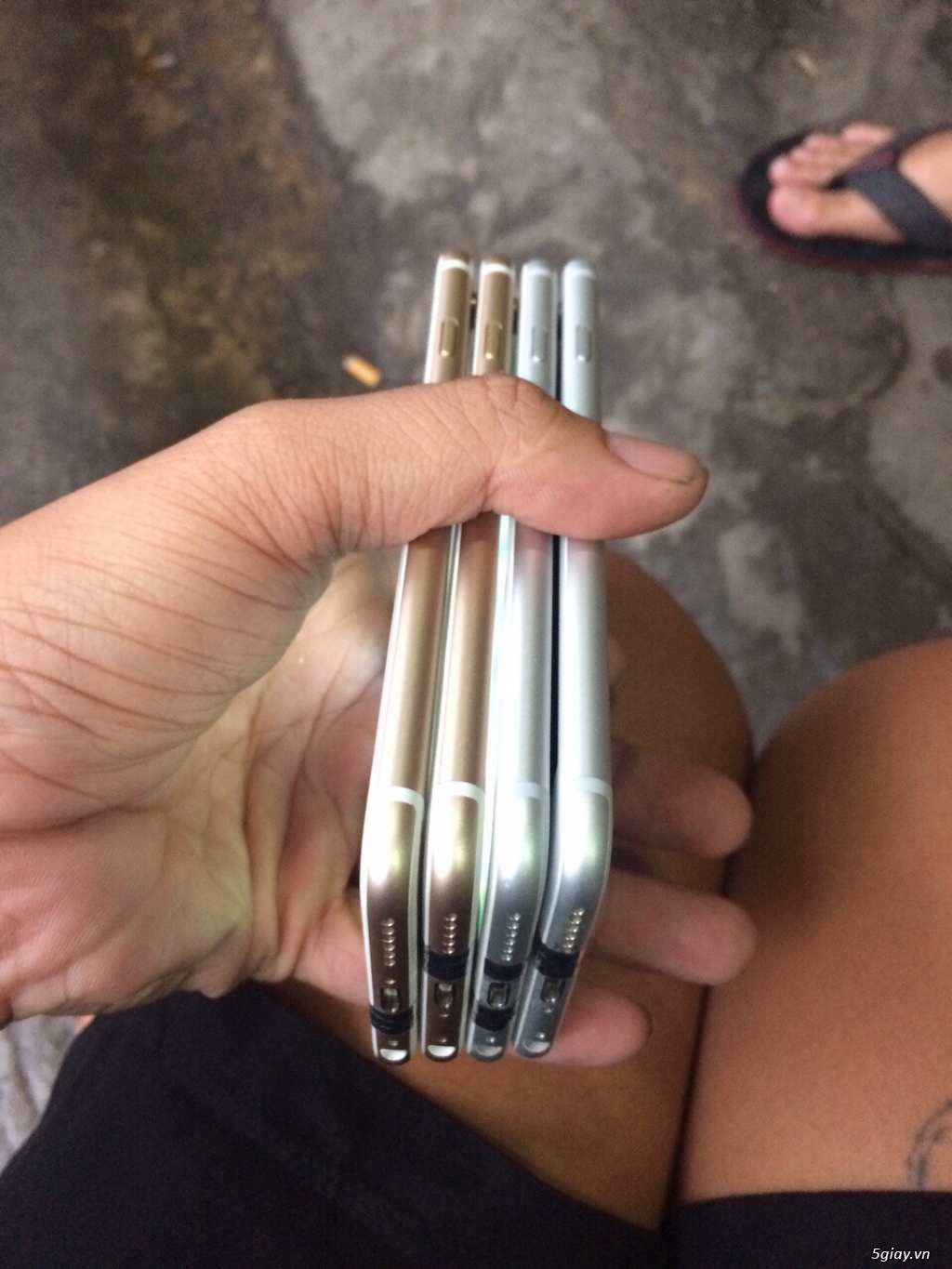 Ip6 16 đẹp keng